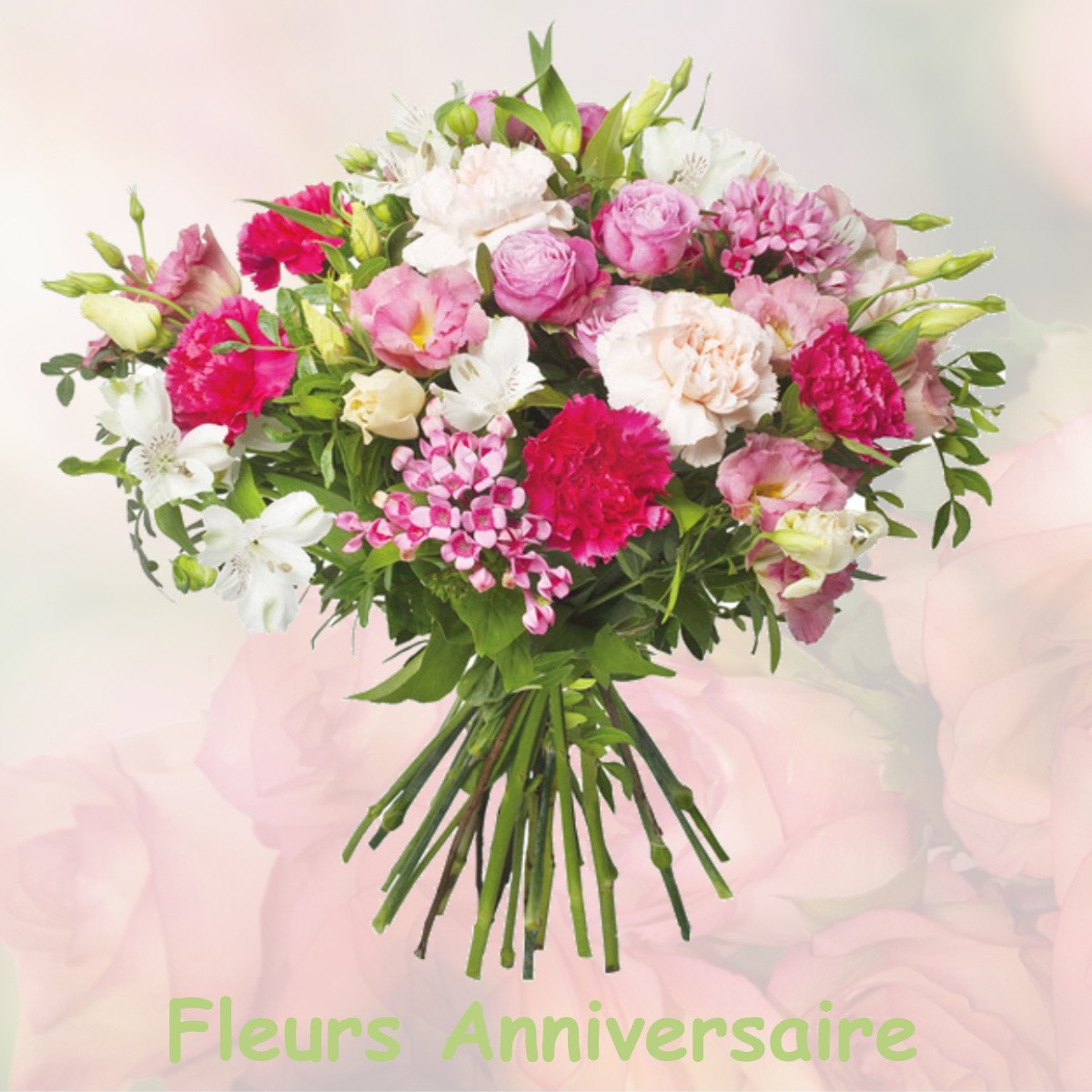 fleurs anniversaire MONTRABE