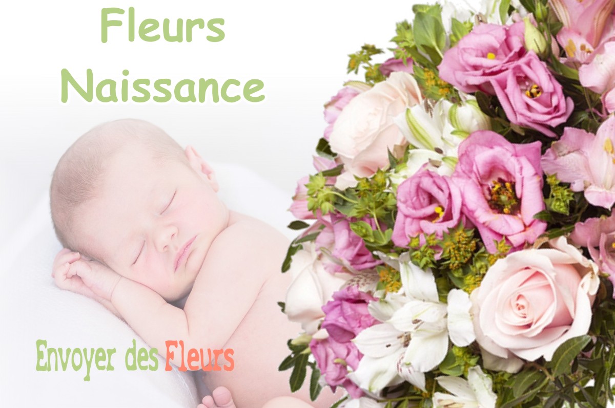 lIVRAISON FLEURS NAISSANCE à MONTRABE